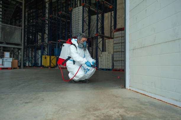 Best Fumigation Services  in USA